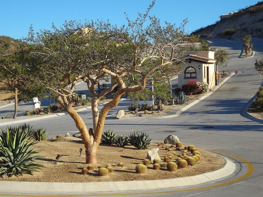 Cabo Marina Beach Condos Cabo San Lucas Exterior photo