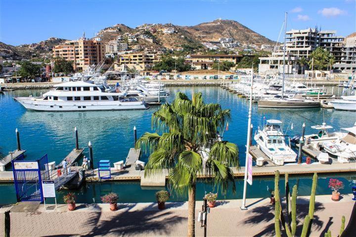 Cabo Marina Beach Condos Cabo San Lucas Exterior photo